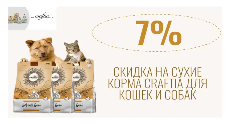 Craftia