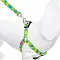 Tappi Эвейк амуниция поводок из стропы для собак, зеленый #3